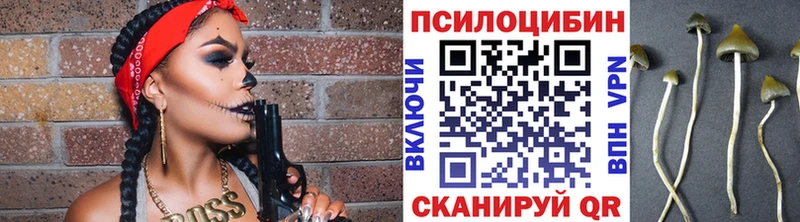 Купить где  Вытегра  Псилоцибиновые грибы GOLDEN TEACHER 